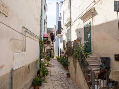 Invece chiasso della Rosa, all�incrocio su via dei Lacci, rappresenta un omaggio alla benefattrice del borgo, Donna Rosa, anche se potrebbe indicare l�attivit� di qualche fioraio